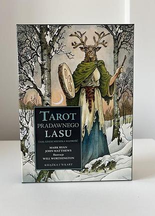 Wild wood tarot