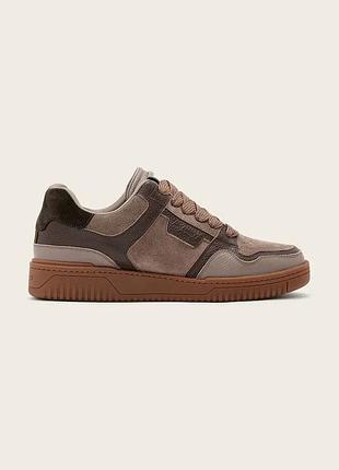 Urbanshop com ua allsaintsregan plus low top кроссовки мужские кожаные бежевые m055fe размеры запиту