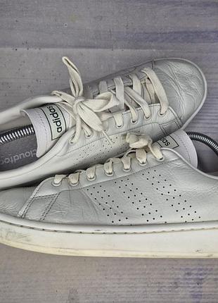 Кеды adidas