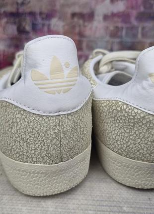 Кеды adidas gazelle 6