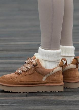 Кроссовки ugg lowmel sneaker chestnut