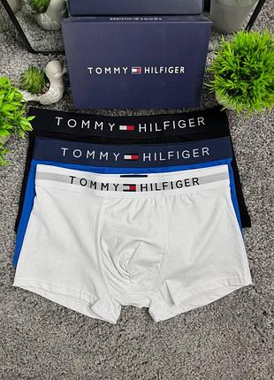 Боксерки tommy hilfiger