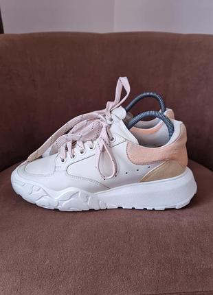 Alexander mcqueen court trainer жіночі кросівки