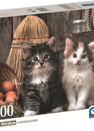 Пазл отличные котята 1000 элементов clementoni 39943