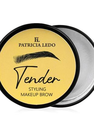 Гель для брів patricia ledo tender makeup brow, 20 г
