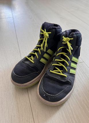 Хайтопи adidas 4