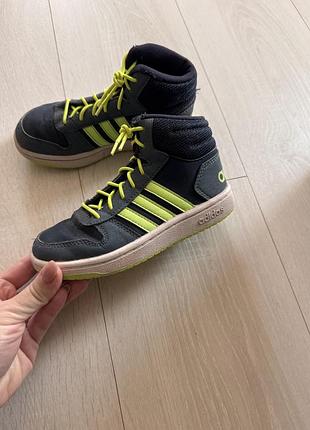 Хайтопи adidas 3