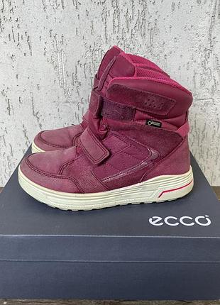 Зимові черевики ecco 2