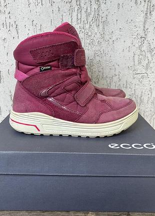 Зимові черевики ecco