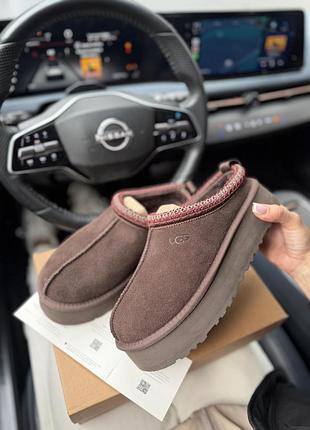Уггі жіночі ugg tazz коричневі