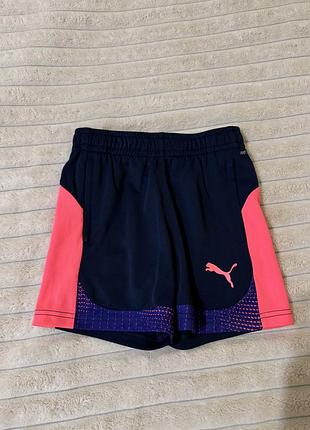 Шорти для дівчинки puma сині з рожевим на 7 років