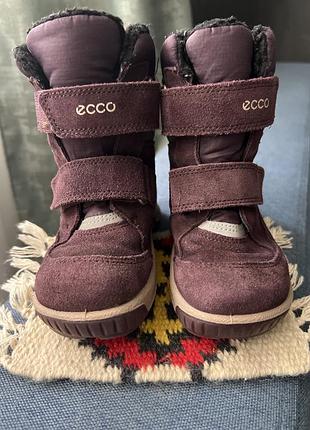Чобітки ecco gore-tex