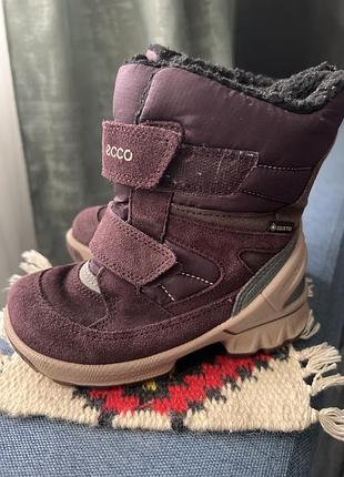 Чобітки ecco gore-tex 2