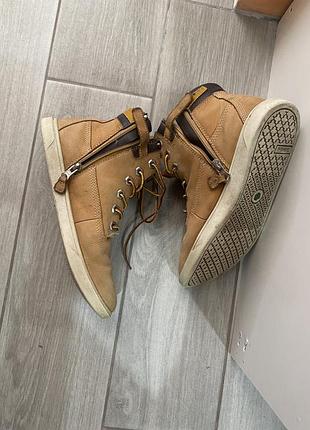 Черевики жіночі timberland коричневі
