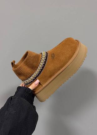 🤎 ugg tazz sock | chestnut premium 🤎
