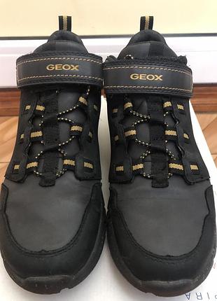 Ботаніки, кросівки geox, 34 2