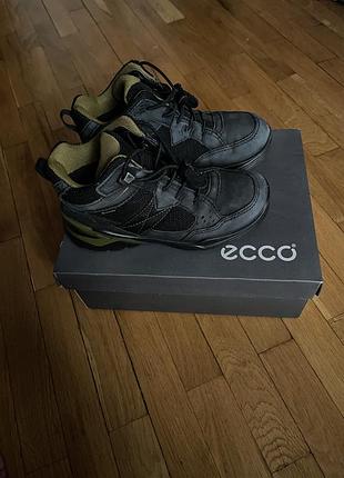 Демісезонні черевики ecco biom gore-tex