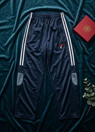 Сині спортивні штани challenger sport (стиль adidas),