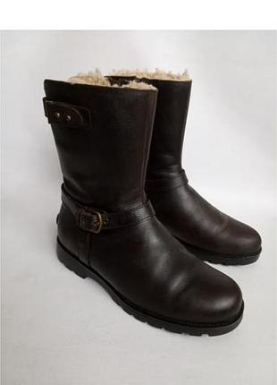 Шкіряні чоботи ugg