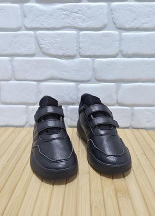 Кросівки adidas 6