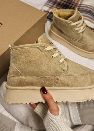 Жіночі зимові ugg classic platform🤎 4