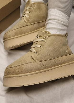 Жіночі зимові ugg classic platform🤎 6