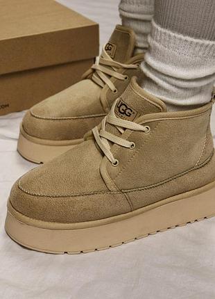 Жіночі зимові ugg classic platform🤎 9