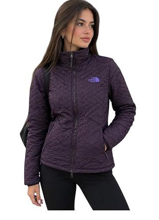 Куртка жіноча the north face стьобана фіолетова