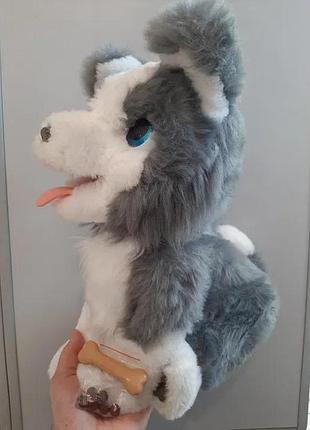 Хаски hasbro furreal friends щенка годые