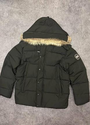 Canada goose puffer jacket — black logo 7