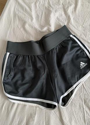 Жіночі шорти adidas сірі