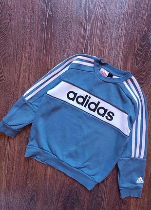 Світшот adidas