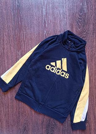 Кофта adidas