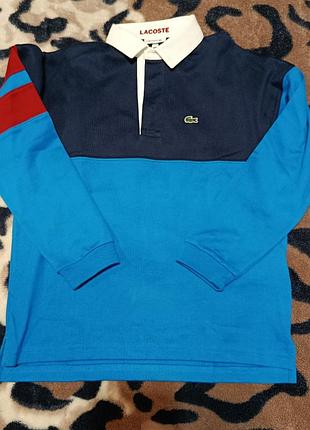 Поло для хлопчика lacoste, різнокольорове, з довгим рукавом