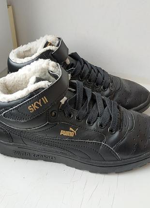 Демисезонные кеды с мехом на мальчика puma 36р. 23.5 см.