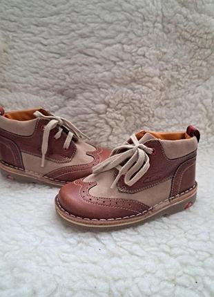 Ботинки "clarks "