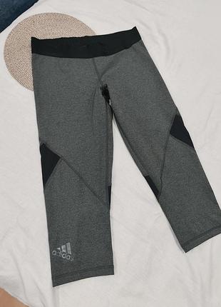 Спортивні капрі від adidas