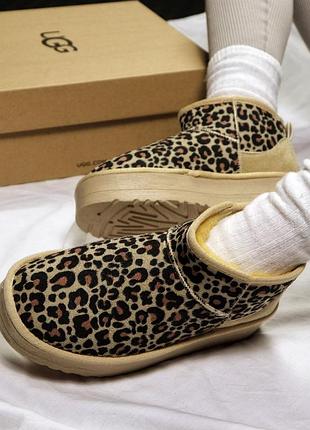 Жіночі зимові ugg classic ultra mini platform 🤎