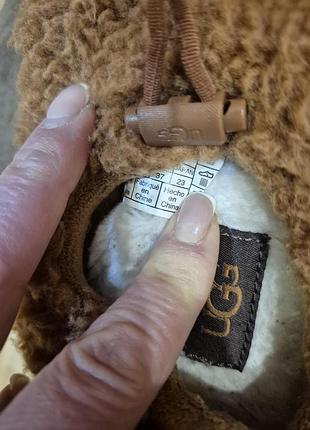 Тапочки носки натуральные ugg 4