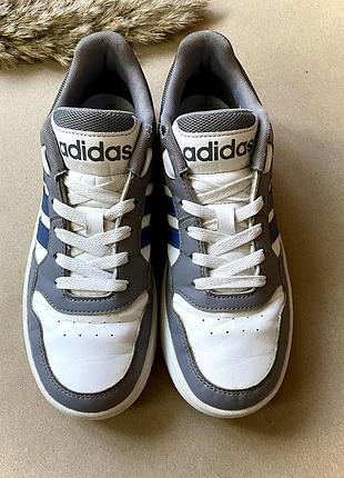 Кроссовки для мальчика adidas hoops 36,5 размер стелька 23 см | белые