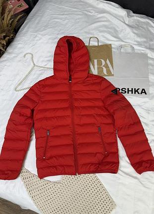 Чоловіча демісезонна куртка guess оригінал