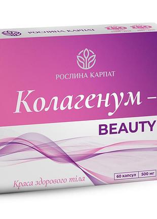 Коллаген для восстановления и прочности суставов, костей, кожи, ногтей волос растение карпат коллагенум beauty капсулы 60шт
