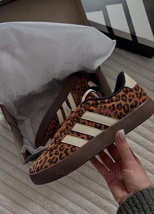 Кросівки жіночі adidas court леопардові