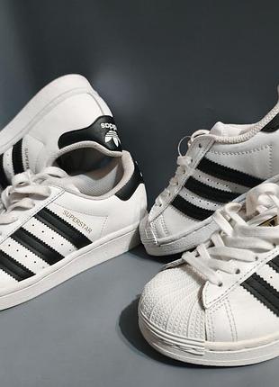 Детские и подростковые кеды adidas superstar