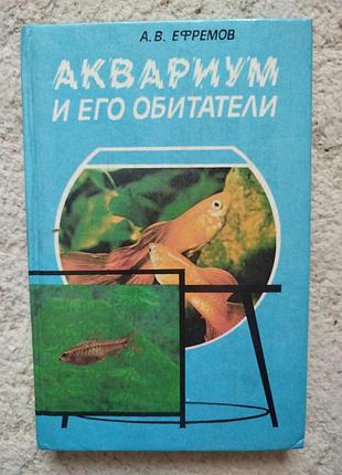 Ефремов аквариум и его обитатели