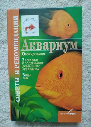 Дарья костина аквариум советы и рекомендации