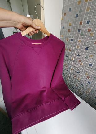 Світшот gant. 6