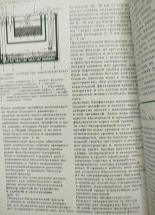 Ромашин мишин мир аквариума 3