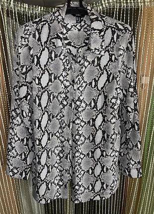 Стильна сорочка new look maternity зі зміїним принтом, розмір 44-46 (m)