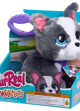 Інтерактивна іграшка "французький бульдог" furreal 28161 серії "walk-a-lots"
